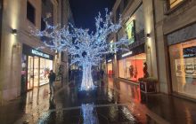 Multrees Walk at Christmas