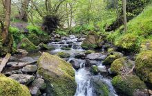 The Braid Burn running through the Hermitage