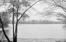 Thoreau's Cove in 1908.