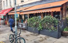 Paradise Palms in July