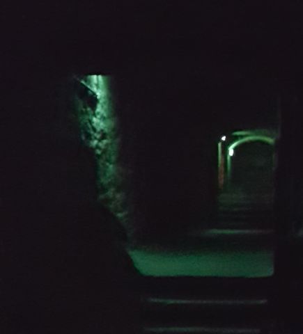 Shadowy figure in the Vaults
