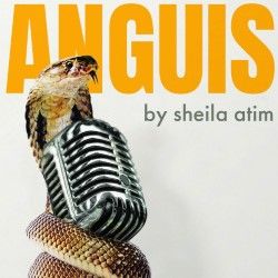 Anguis