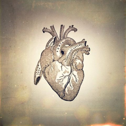 The Archive of Educated Hearts, Pleasance Courtyard, Review