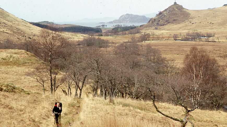 A hiker walks out of Knoydart woodland