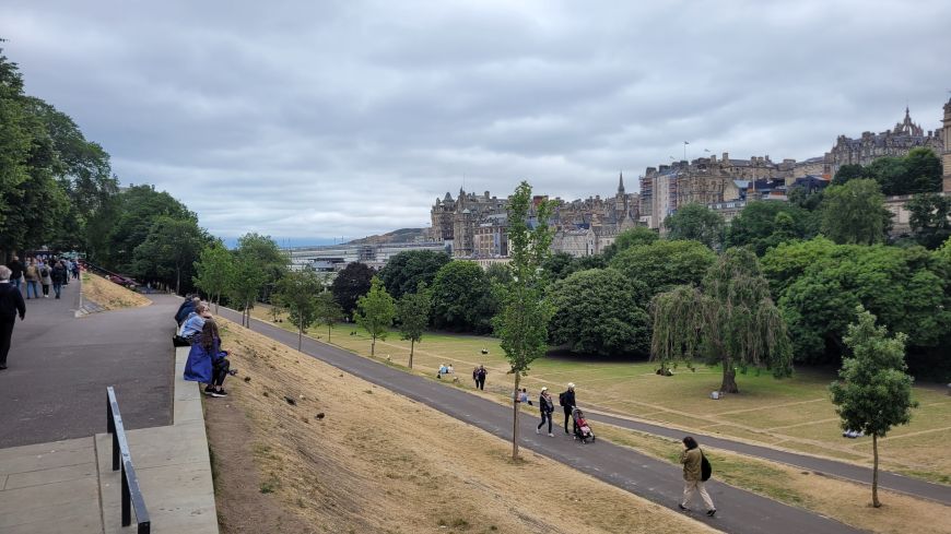 Yellow grass in East Princes St Gardens