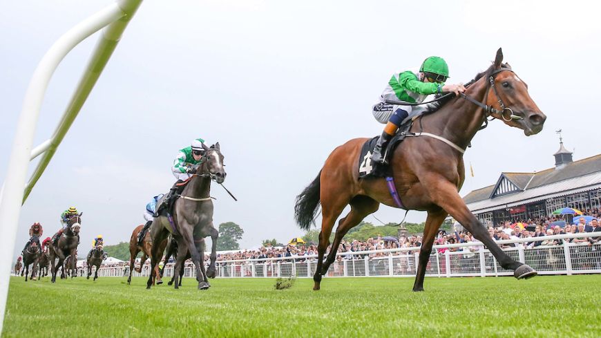 Horses on the final straight