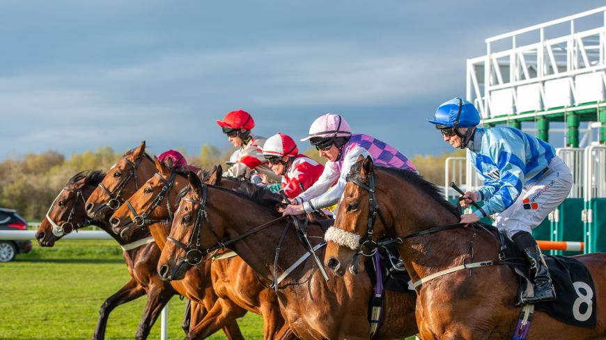 Horses leaving the starting gates at Musselburgh Races