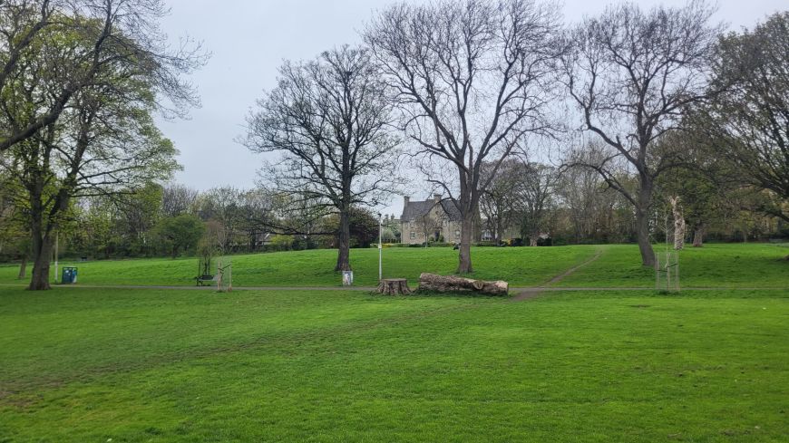Pilrig Park with Balfour House in the distance