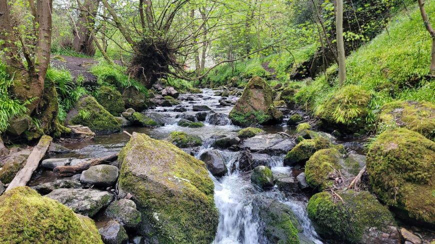 The Braid Burn running through the Hermitage