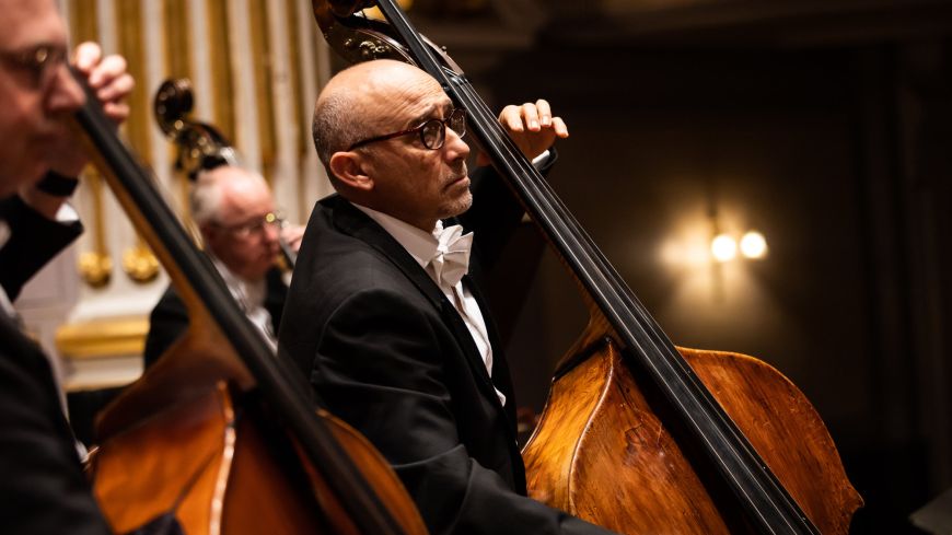 RSNO double bass section