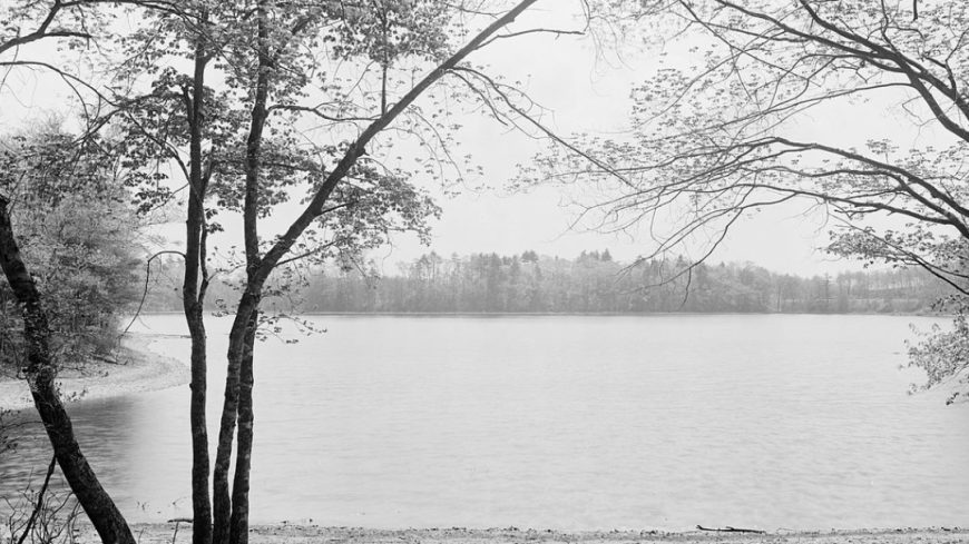 Thoreau's Cove in 1908.