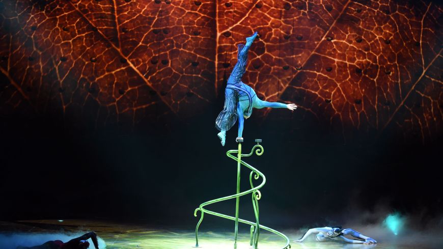 Cirque du Soleil: OVO, SSE Hydro, Review