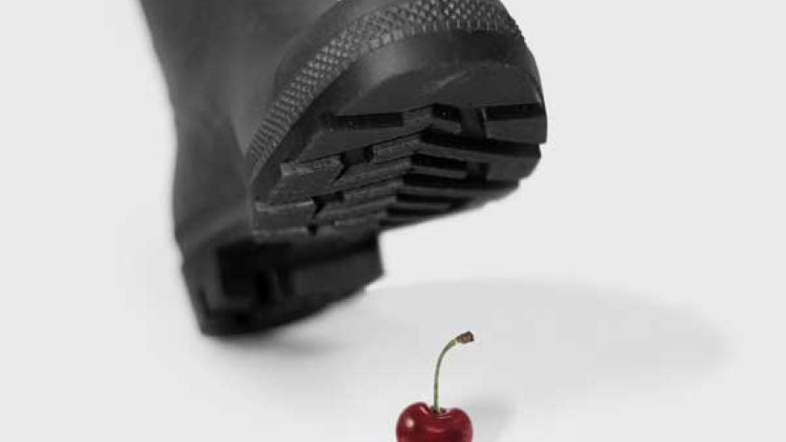 The Cherry Orchard, Fringe 2013, Review