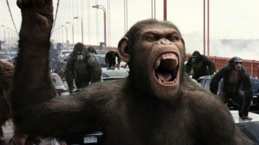 Film of the Week: Rise of the Planet of the Apes