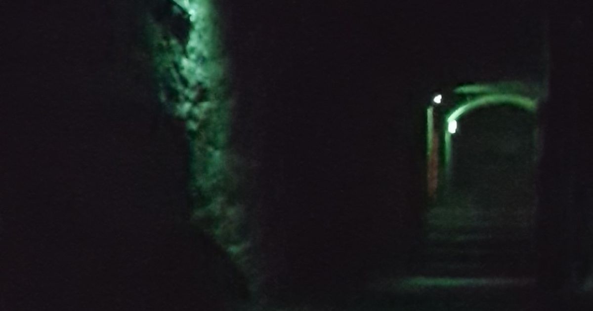 Shadowy figure in the Vaults